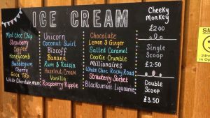 Bidlea Ice Cream Farm in Holmes Chapel